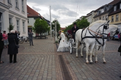 _NIK0499_kl