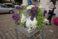 _NIK0587_kl