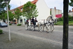 _NIK0607_kl