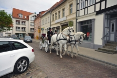 _NIK0608_kl